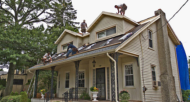 Best Metal Roofing Contractor  in Lawai, HI