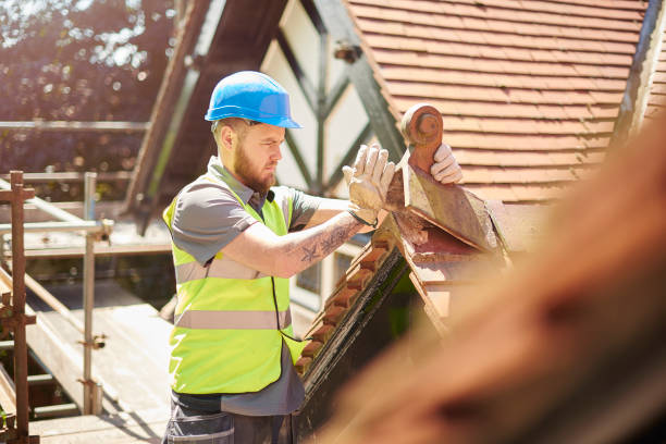 Roof Gutter Cleaning in Lawai, HI