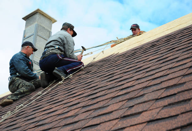 Best Shingle Roofing Installation  in Lawai, HI