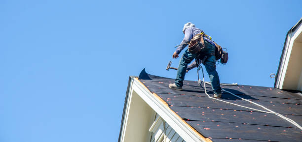 Best Roof Gutter Cleaning  in Lawai, HI